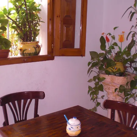 La Paloma Ii בית הארחה 3*