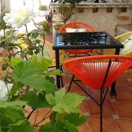 La Paloma Ii בית הארחה 3*