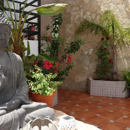 La Paloma Ii בית הארחה 3*