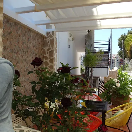 La Paloma Ii 3* קלפה