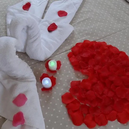 La Paloma Ii 3* קלפה