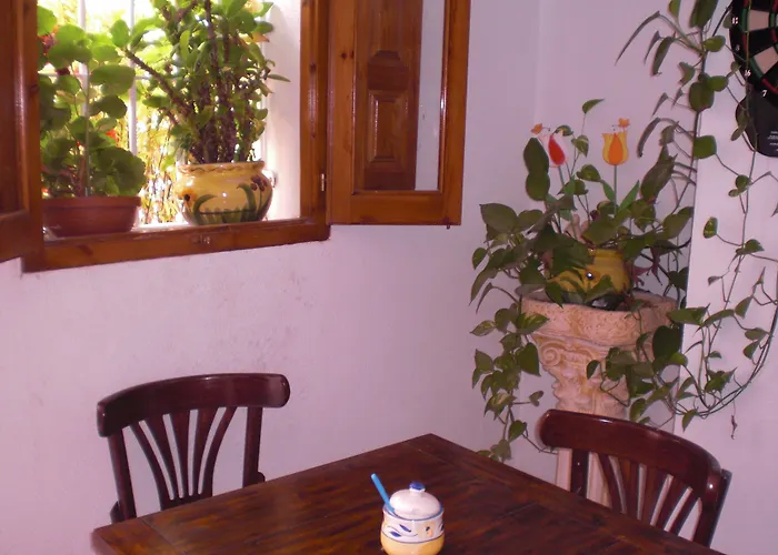 Residencial La Paloma Ii Pensión 3*